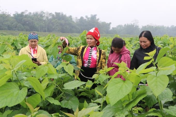 CHỢ LÂM HÀ - LÂM ĐỒNG